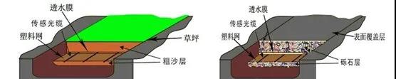 1634540783305.jpg 13.jpg